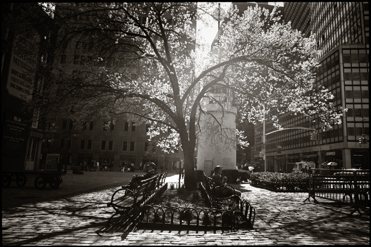 Spring NYC photograph by John Strazza